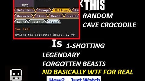 Dwarf Fortress Explained Poorly: Update