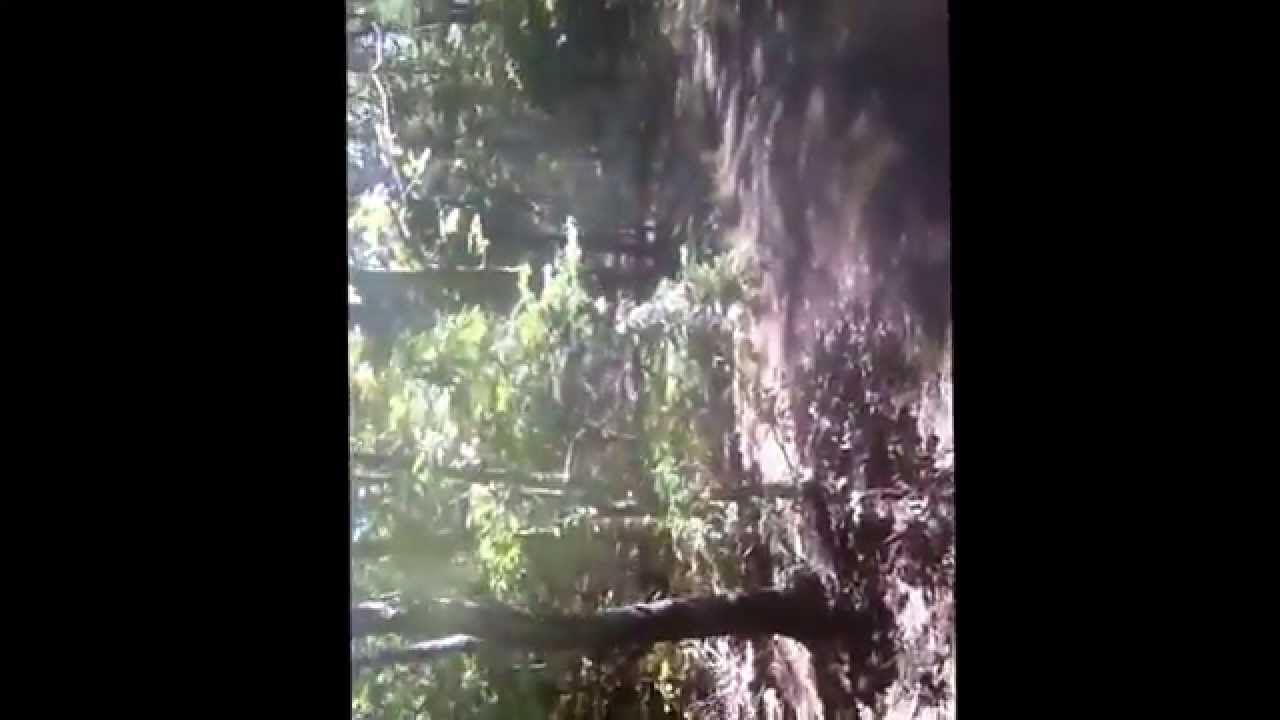 Sep 24, 2013 YouTube