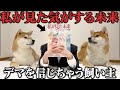 【私が見た気がする未来】7月5日の予言を信じすぎてる飼い主に振り回される柴犬こまちゃん。 thumbnail