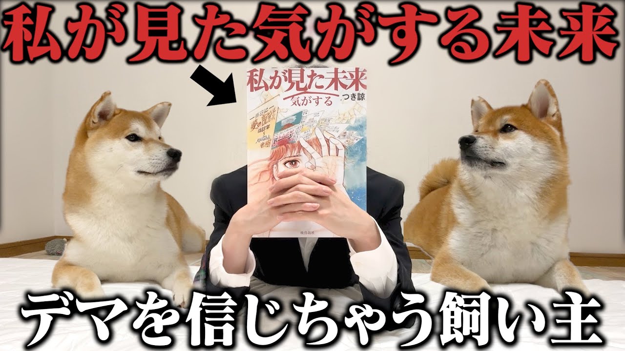 The future I thought I saw] Koma-chan, the Shiba Inu, is being