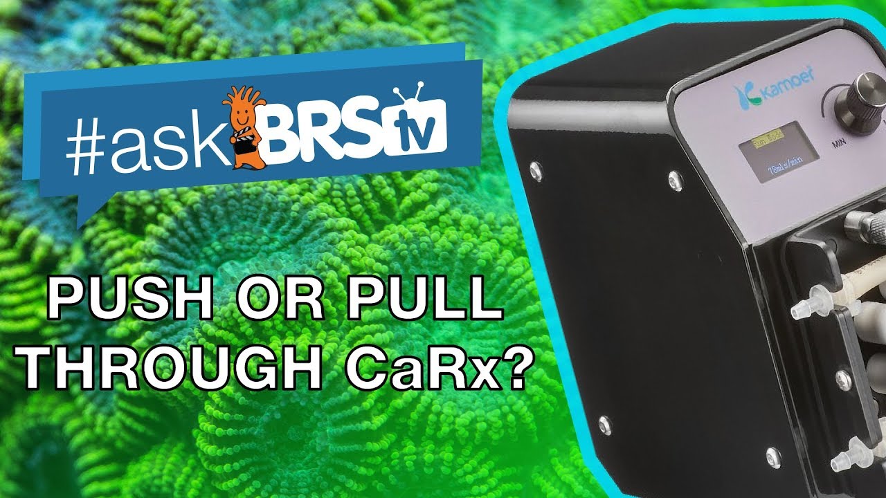 Feed or pull from your Calcium Reactor with the Kamoer Continuous Dosing Pump ? | 