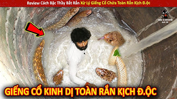 Review Cách Bậc Thầy Bắt Rắn Xử Lý Giếng Cổ Chứa Toàn Rắn Kịch Đ.ộc | Review Giải Trí Đời Sống