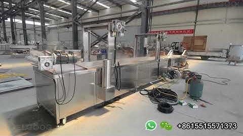 GELGOOG Continuous Frying Machine For Pork Rinds Crackling Business