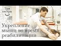 Укрепление мышц стабилизирующих лопатки