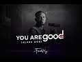 Capture de la vidéo Faithniyi - You Are Good (Alade Ogo) | Audio Version