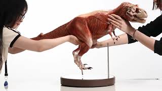 ECC&EVOLABORATORY 1/12th T-REX ANATOMY UNBOXING