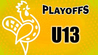 Floorball U13 Playoffs