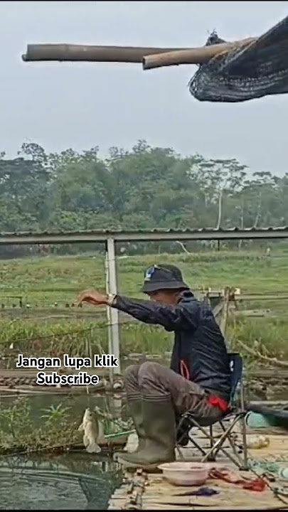 Jangan Lupa klik Subscribe 👆👆👆 #dangdut #music #dangdutkoplo #mancing #fishing #mancingmaning