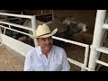 💥 PRESENTANDO LOS TOROS 💥PARA EL 13 DE SEPTIEMBRE EN EL JARIPEO VIRTUAL CON RANCHO LA CANDELARIA