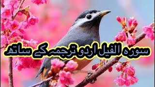سورۃ الفیل اردو ترجمہ کے ساتھ