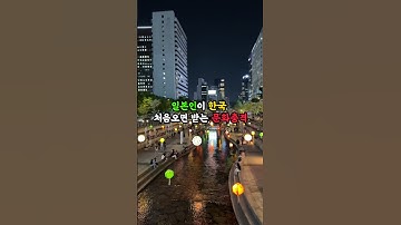 일본인이 한국 처음오면 받는 문화충격