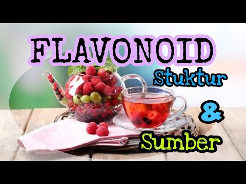 Flavonoid; bahan AJAIB pada buah dan sayur untuk KESEHATAN