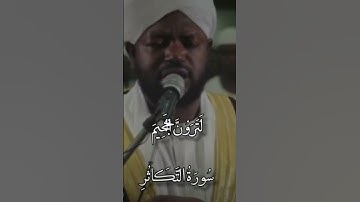 الأجمل تلاوة خاشعة بصوت الشيخ نورين محمد صديق السوداني سورة التكاثر