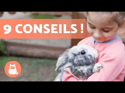 Vidéo: Comment rendre un lapin inconscient : 10 étapes