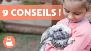 Comment GAGNER la CONFIANCE d'un LAPIN ? 🐰🥕 (9 conseils clés)