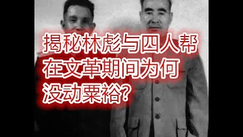 揭秘林彪与四人帮在文革期间为何没动粟裕？ - 天天要闻