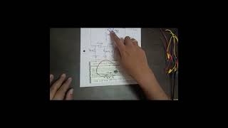 Perform Op amp as sine waveform generator on bread board