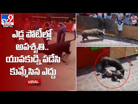 Viral: ఎడ్ల పోటీల్లో అపశృతి.. యువకుడ్ని పడేసి కుమ్మేసిన ఎద్దు @TV9 Telugu Digital