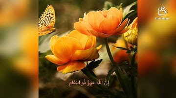 الشيخ عمير شميم ما تيسر من سورة إبراهيم🍂