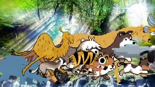 Animals Stampede Ll Tropical Forest Run