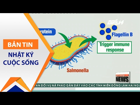 Video: Ung Thư Thực Vật Do Vi Khuẩn