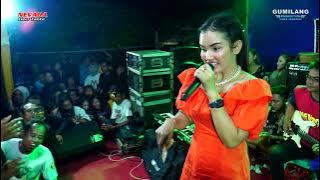 BUIH JADI PERMADANI MAYA SABRINA - NEVADA MUSIC KEBAL WIRANG STRINGING TELAHAP SENTUL CLUWAK