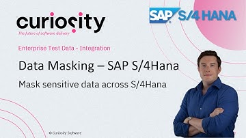 SAP S/4HANA - Data Masking | Enterprise Test Data