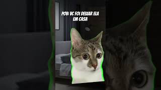 você foi deixar ela em casa#fyy#fpy#shorts#memes