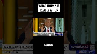 I think this is what Donald Trump is really after: immunity for his tax cheating.
