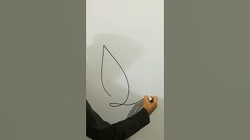 bird one line drawing tutorial