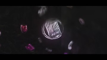 Mike Rijks Intro V1 | By Dacho