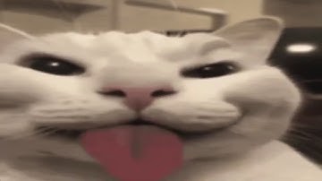 54m48s 45R Kappa lvl cap speedrun solo