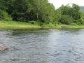 Delaware River near East Branch, NY