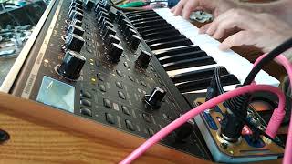 Moog Subsequent 37 Polyphonic 7 with Chorderbeat