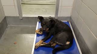 acs A659110