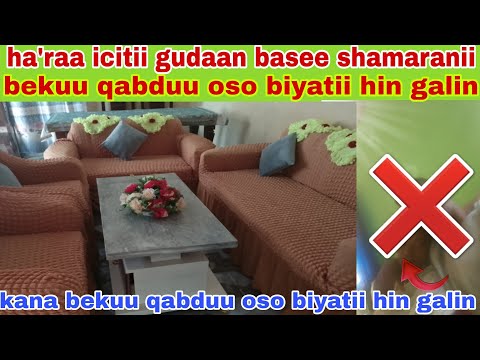 Ha Raa Icitii Gudaan Basee Shamaranii Biyaa Arabaa Dirqama Kana Bekuu Qabduu Oso Biyatii Hin Galin