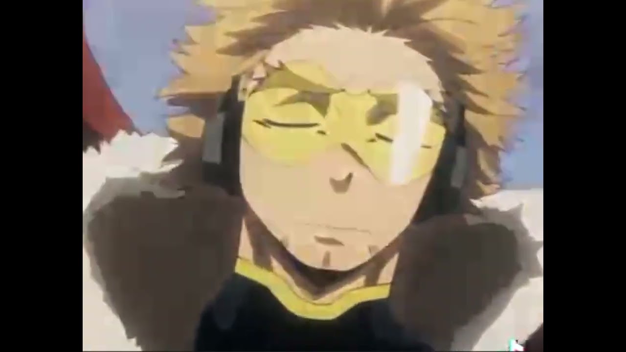 Hawks. Quirk: Fierce Wings 