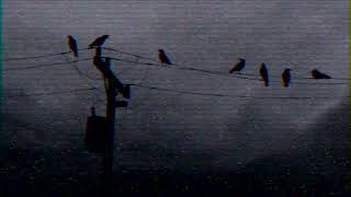 : Lely45 -  (Slowed + Reverb)