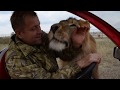 Почему львам нельзя быть толстыми . Как мы обманули Олежку :))