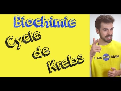 Cours de biochimie: cycle de Krebs