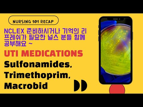 UTI에 쓰이는 항생제 | SULFONAMIDES, TRIMETHOPRIM, MACROBID | 메모리 꿀팁