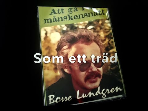 Video: Bo I Ett Träd