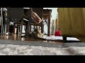 隠れて見てたら猫探偵あらわる【くーたの部屋】stanza del gatto