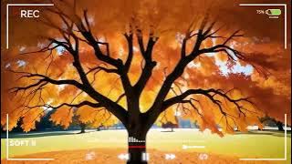Best Romantic Songs MP3 70-80-90 old Player #music #song #mp3 @WorldLost404