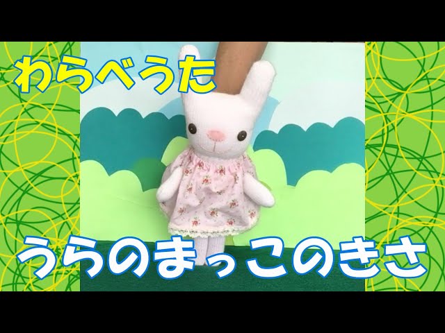 うらのまっこのきさ