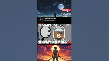 (PART-1) THE SIMPLE SECRET OF RUNWAY NUMBER #animation #information #runway #cartoon