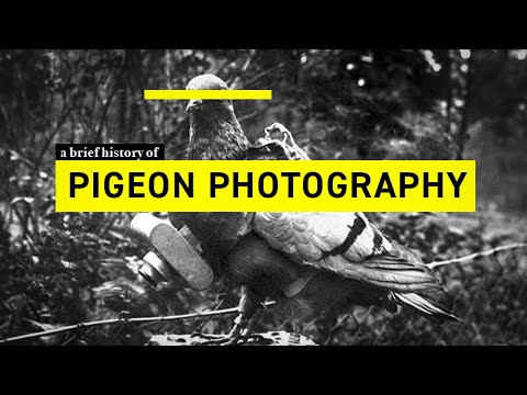 Pigeon Photography: a brief history