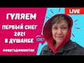 Гуляем в Таджикистане! Первый снег в Душанбе! Ноябрь 2021!