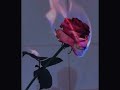Cold Water Justin Bieber Sped Up Reverb Cold Water Justin Bieber Sped Up Reverb