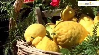 БУДНИ ИСКЬИ: овощная лавка в Искья-Порто БУДНИ ИСКЬИ: овощная лавка в Искья-Порто